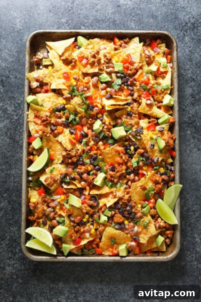 Baked chicken nachos fresh out of the oven, topped with fresh avocado and cilantro.