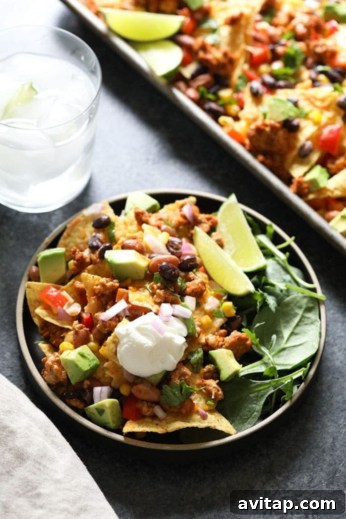 A plate of loaded chicken nachos with a dollop of sour cream and fresh cilantro garnish, ready to be enjoyed.