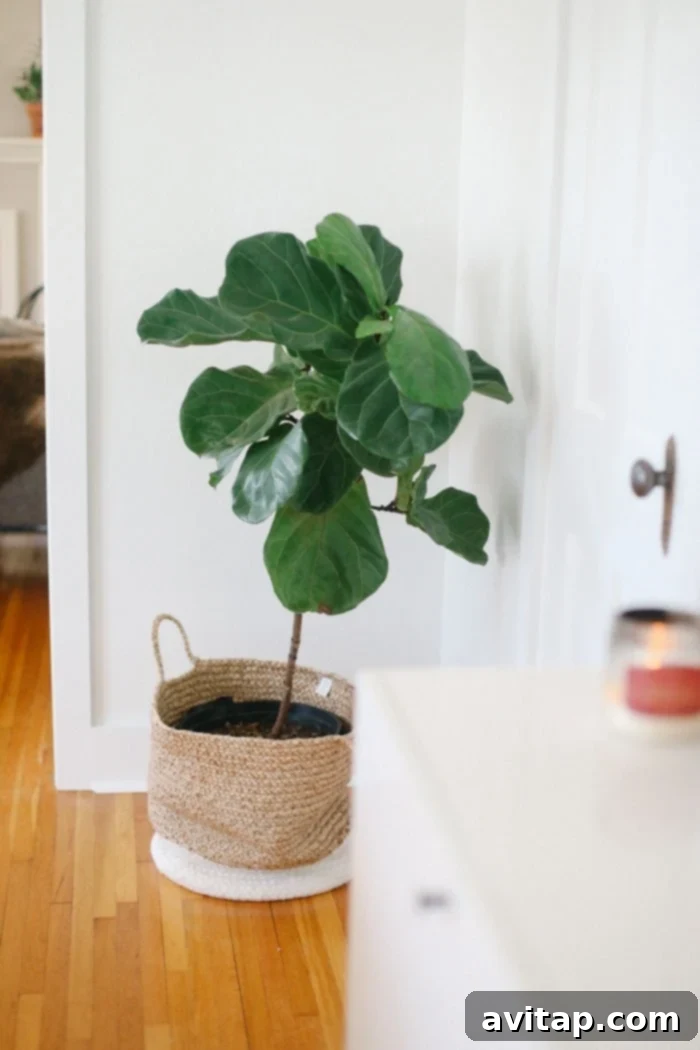 Two-Toned Storage Basket Planter