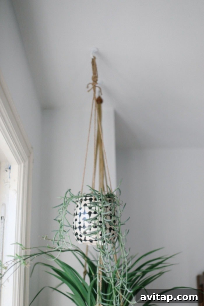 Stylish Hanging Planters with Greenery