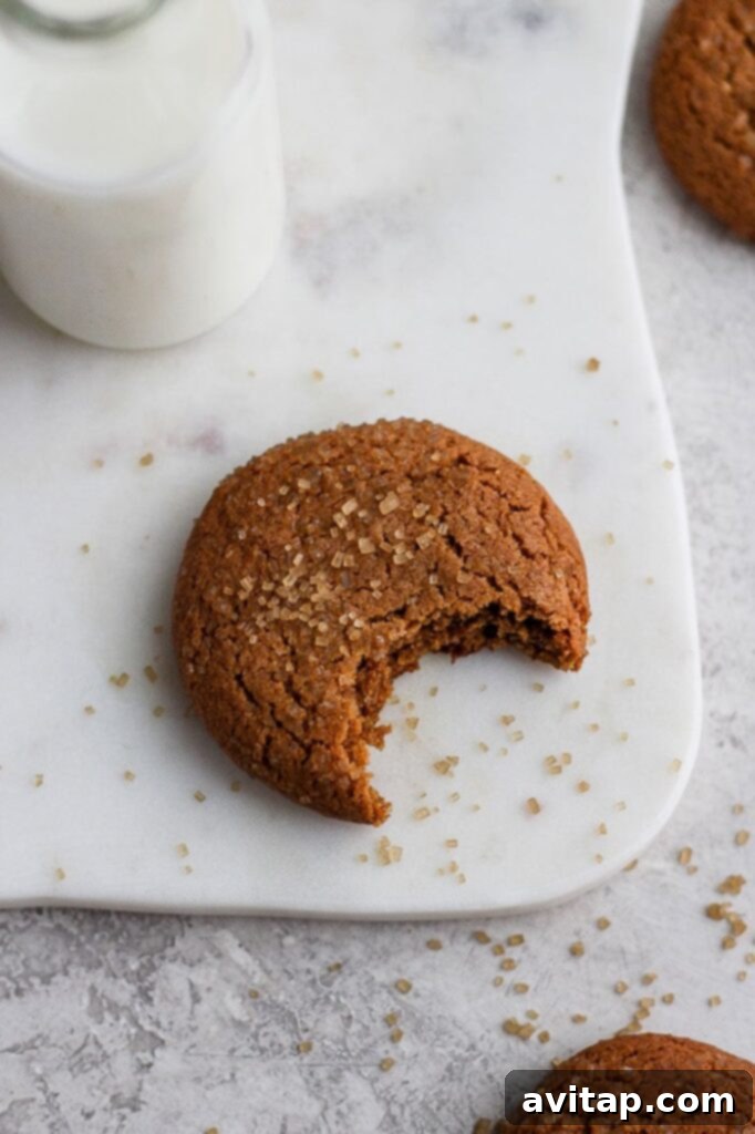 A delicious chewy ginger cookie with a bite taken out, revealing its soft interior.