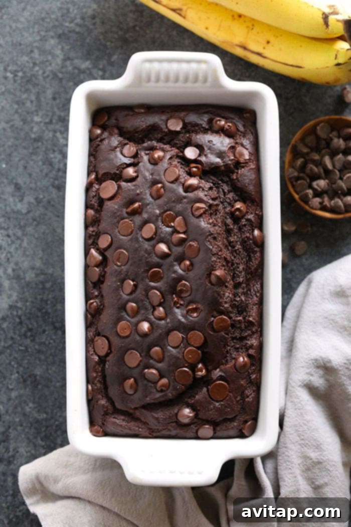 Slice of Chocolate Chocolate Chip Banana Bread