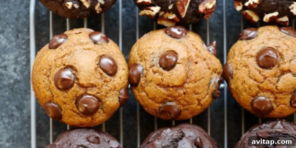 Healthy Chocolate Chip Pumpkin Muffins