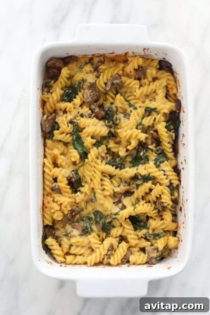 Healthy vegan pasta bake with white wine cashew sauce, fresh from the oven, ready to be enjoyed.