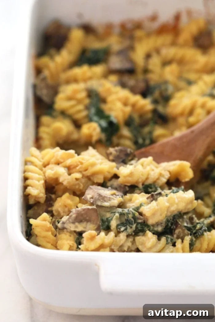 A large serving of creamy vegan pasta bake with white wine sauce in a bowl, ready to be enjoyed.
