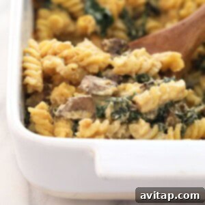 Vegan pasta bake with creamy white wine cashew sauce