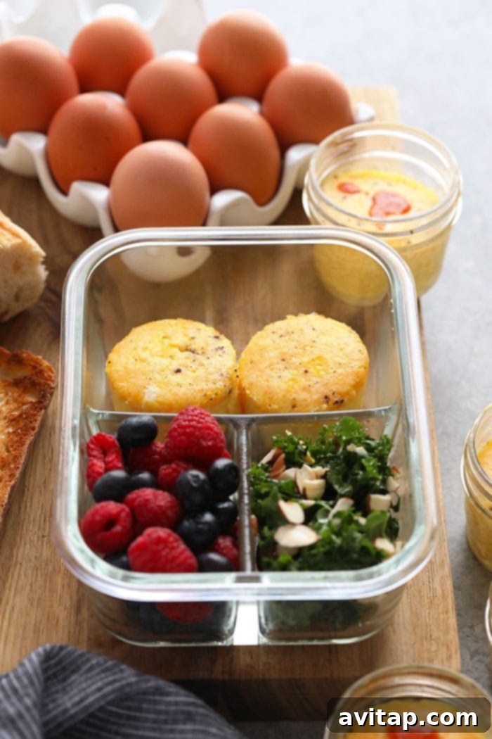 Sous Vide Egg Bites in a bento box with a kale salad and berries.
