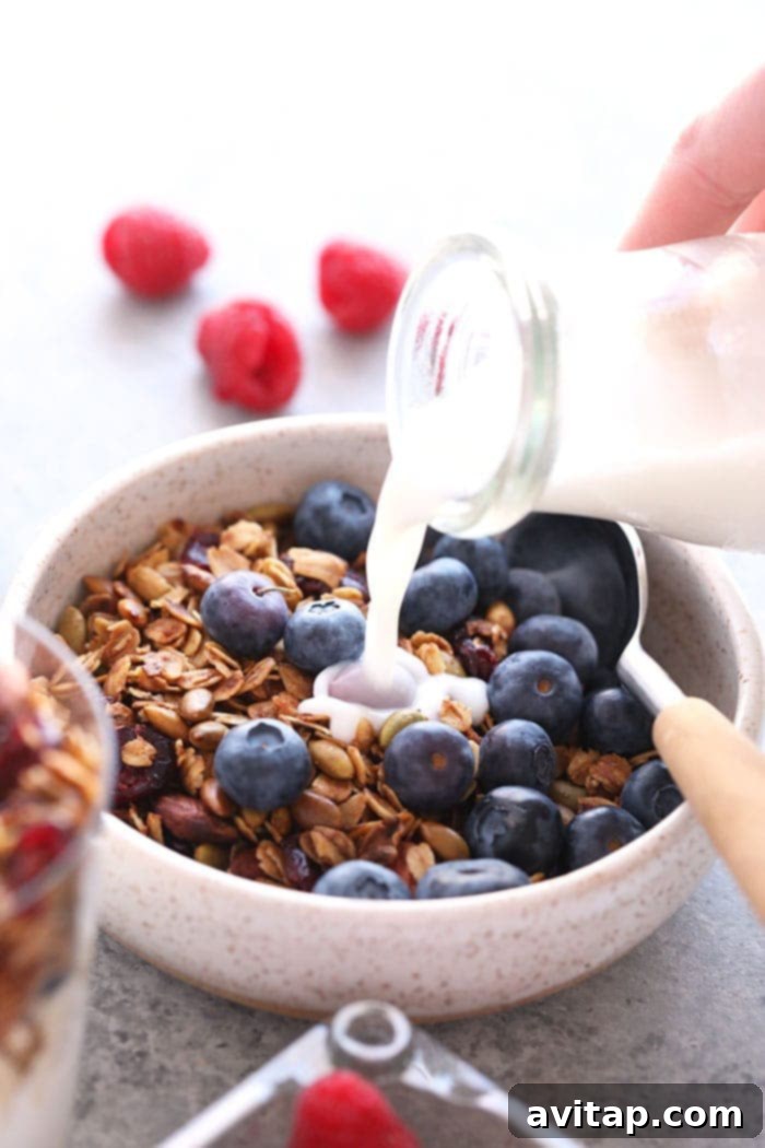 Granola with Blueberries and Milk A bowl of homemade granola with fresh blueberries and milk, ready for a healthy breakfast.