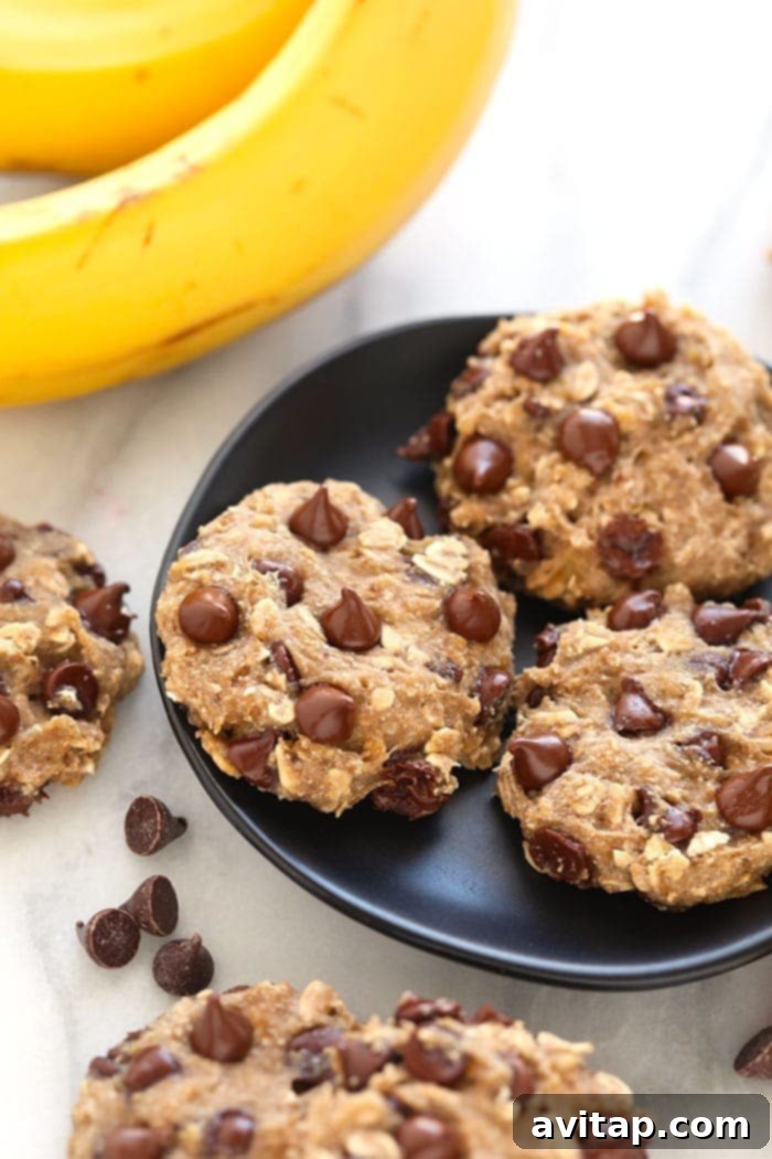 Versatile Banana Oatmeal Cookie Recipe with Add-Ins Close-up of banana oatmeal cookies with chocolate chips