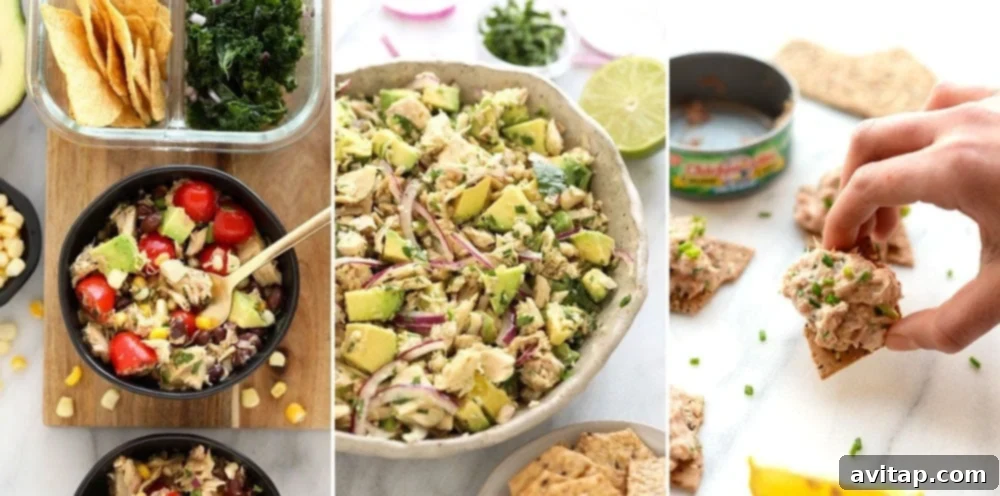 Discover easy, protein-packed tuna salad recipes for quick and healthy meals. A trio of diverse tuna salad recipes, beautifully presented and ready to be enjoyed, highlighting their versatility.