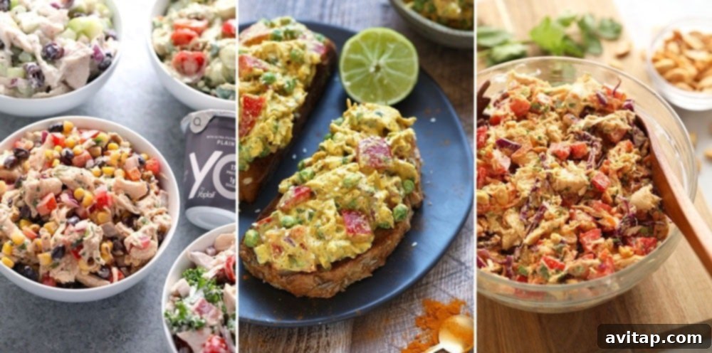 Explore diverse and healthy chicken salad recipes, perfect for any palate. A collage featuring three distinct and flavorful chicken salad recipes: Southwestern, Curry, and Thai, showcasing diverse culinary inspirations.