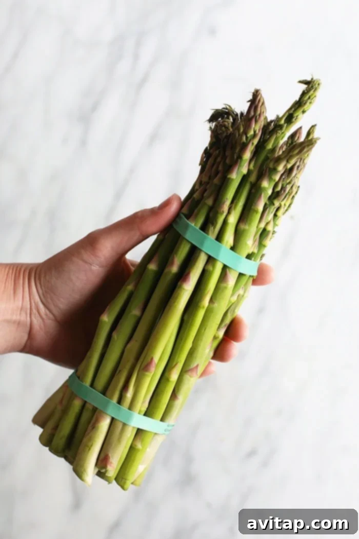 A fresh bundle of green asparagus spears, tied together, highlighting their natural vibrancy and readiness for preparation.