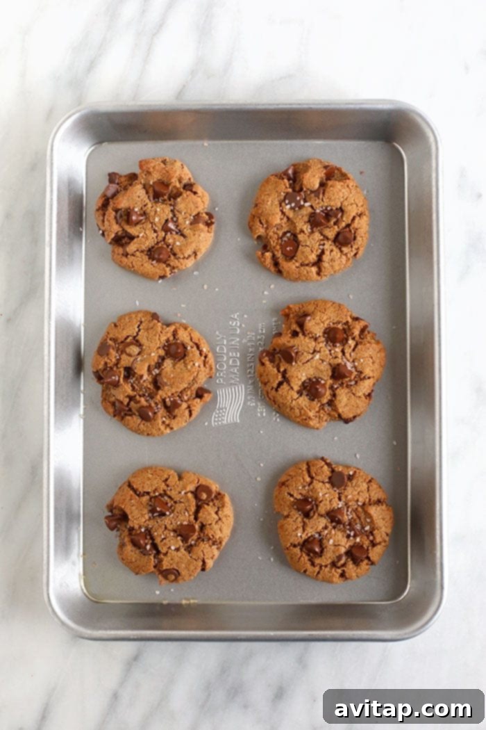 Freshly Baked Healthy Chocolate Chip Cookies Perfectly baked healthy chocolate chip cookies cooling on a baking pan, showcasing their golden edges and irresistible texture, ready to be enjoyed.