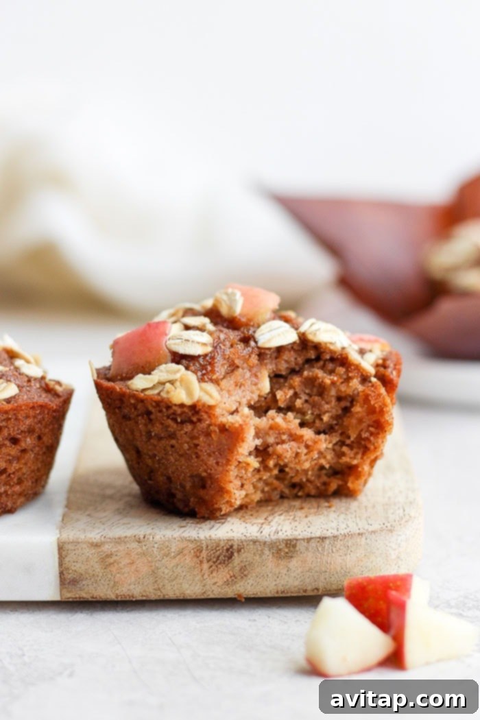 fluffy apple cinnamon muffins fresh from the oven, a perfect fall snack