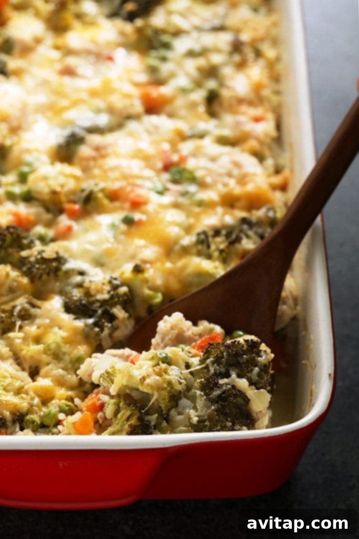 The BEST chicken casserole recipe is cheesy, high-protein, and packed w/ veggies! Plus, get 15 more delish chicken casserole recipes! spoon in chicken and rice casserole dish, showcasing creamy, cheesy, and chicken-y textures for the ultimate comfort food. Best Chicken Casserole!