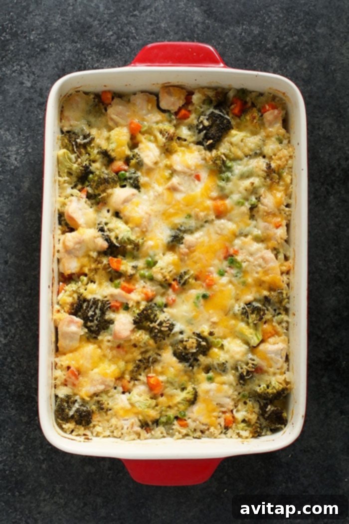 The BEST chicken casserole recipe is cheesy, high-protein, and packed w/ veggies! Plus, get 15 more delish chicken casserole recipes! chicken and rice casserole in red pan, a tasty and versatile dish with various cheeses and vegetables.