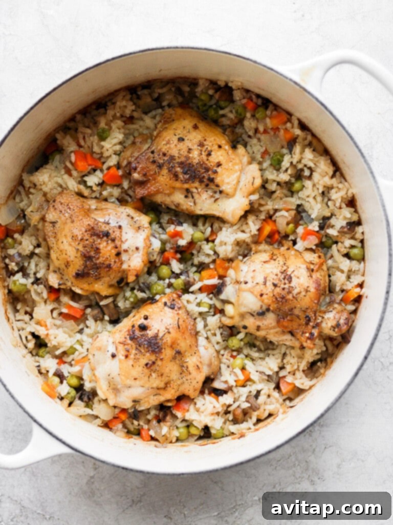 Heartland Chicken Bake 3 A delicious one-pot chicken and rice bake with juicy chicken thighs and plenty of vegetables.