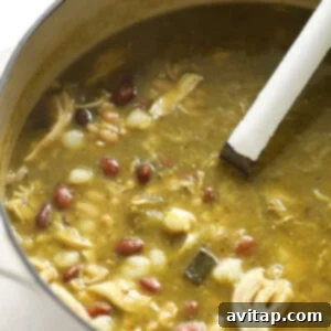 a pot of chicken, bean, and green chili soup with a spoon.