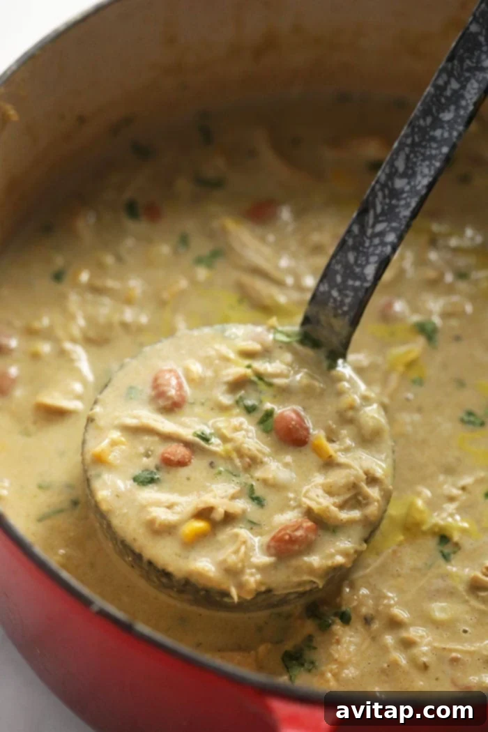 Delicious One-Pot White Bean Chicken Chili Served with a Ladle A ladle serving creamy White Bean Chicken Chili from a pot, showcasing its rich texture and ingredients, ready to be enjoyed.