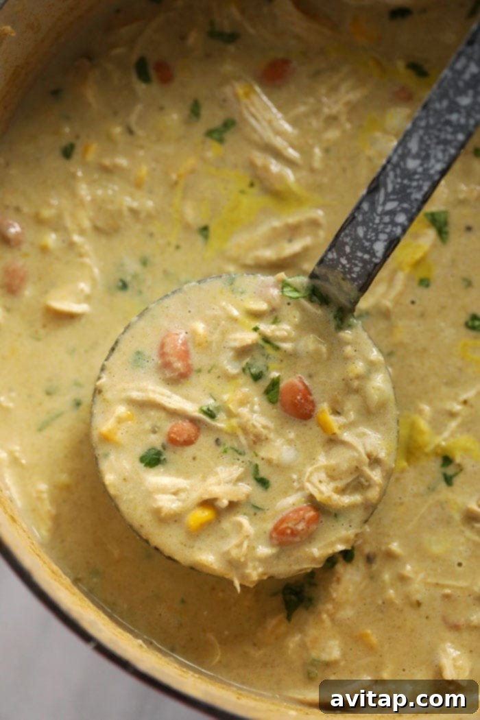 Creamy White Bean Chicken Chili Ready to Be Served A ladle filled with creamy white bean chicken chili, lifted from a Dutch oven, showing its rich texture and ready-to-serve appeal.
