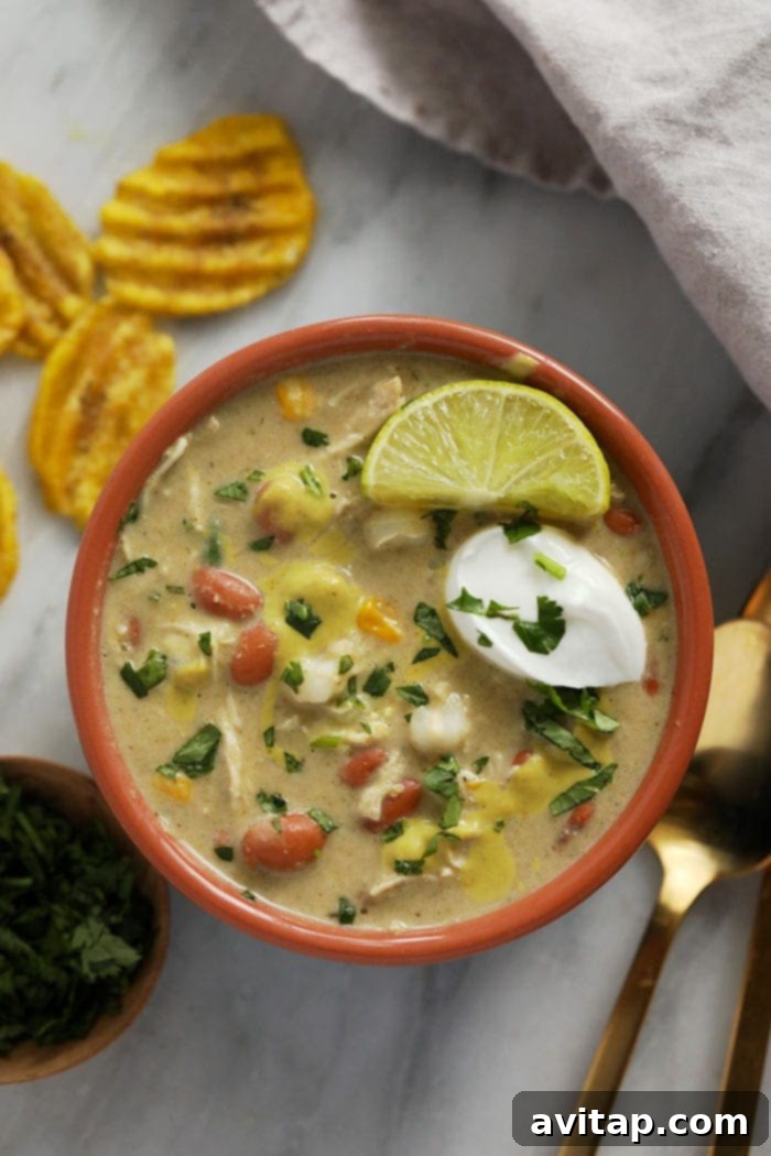White Bean Chicken Chili with Greek Yogurt and Cilantro Garnish A beautifully presented bowl of creamy white bean chicken chili, topped with a dollop of Greek yogurt and fresh green herbs, ready to eat.