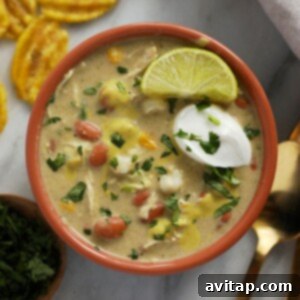 Zesty Chicken and White Bean Chili 3 A vibrant bowl of White Bean Chicken Chili, garnished and ready to eat, highlighting its creamy texture and fresh toppings.