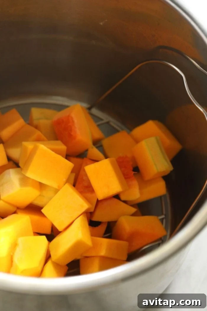 Instant Pot Butternut Squash Recipe 5 A whole butternut squash placed inside an Instant Pot, ready for pressure cooking.
