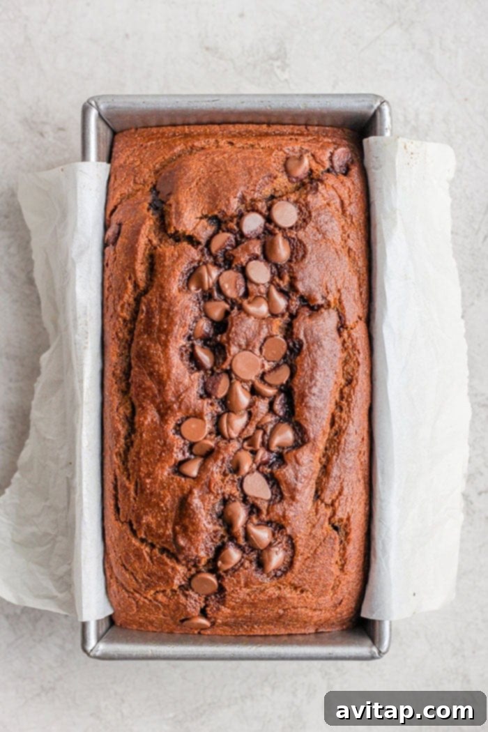 It’s pumpkin season! Which means it’s time to make this moist and flavorful Healthy Pumpkin Bread. Packed with pumpkin puree and a few chocolate chips + the just right amount of cinnamon, nutmeg, cloves and ginger, this pumpkin bread is something your whole family will enjoy! A freshly baked healthy pumpkin bread loaf, golden brown and perfectly risen, cooling in its pan straight from the oven.
