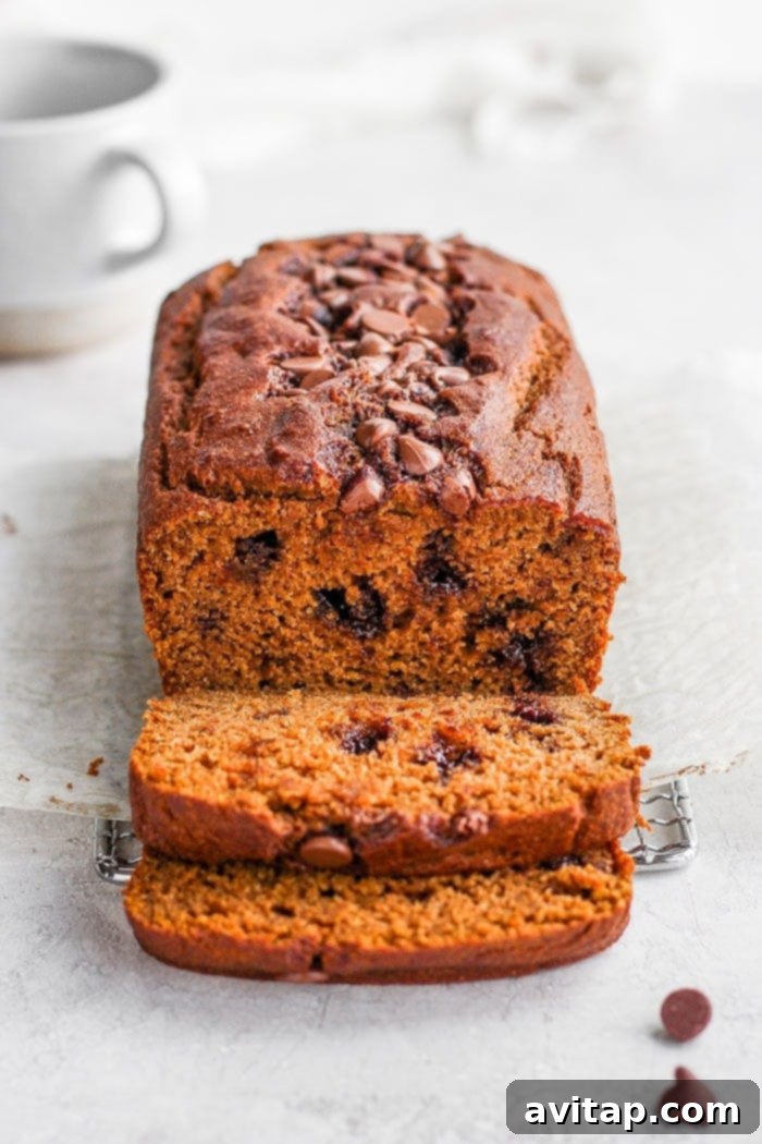It’s pumpkin season! Which means it’s time to make this moist and flavorful Healthy Pumpkin Bread. Packed with pumpkin puree and a few chocolate chips + the just right amount of cinnamon, nutmeg, cloves and ginger, this pumpkin bread is something your whole family will enjoy! A beautiful, moist slice of healthy pumpkin bread, showcasing its perfect texture and comforting appeal, ready to be enjoyed.