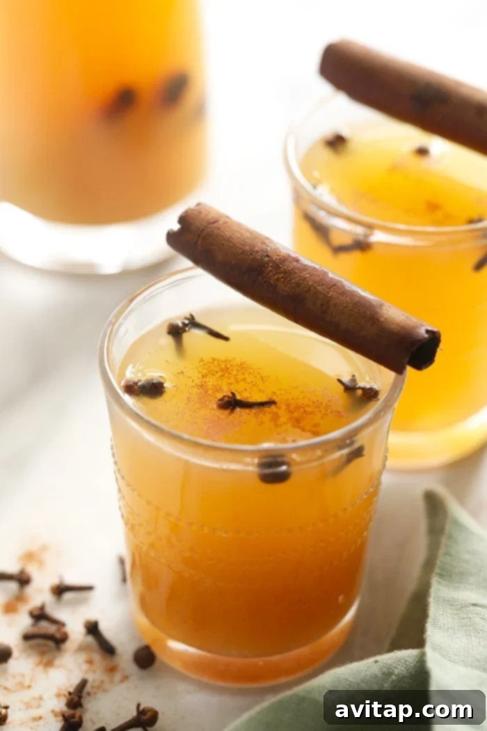 Beautifully Garnished Homemade Apple Cider A glass of apple cider, garnished with a cinnamon stick and orange slice, with whole apples in the background.