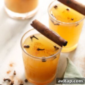 Easy Instant Pot Apple Cider 5 A glass of homemade apple cider garnished with cinnamon sticks, showing its rich, warm color.