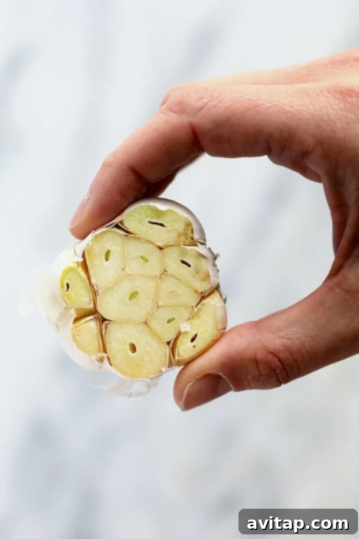 A single fresh garlic bulb with the top trimmed off, exposing the cloves, ready for olive oil and roasting.