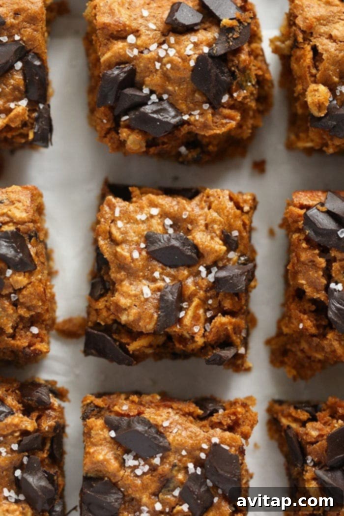 Decadent pumpkin oatmeal cookie bars topped with a sprinkle of sea salt, ready to be enjoyed.
