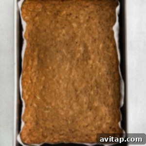 Apple cake without frosting.