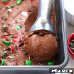 Scoop of Chocolate Peppermint Banana Nice Cream, garnished with toppings for a festive presentation.
