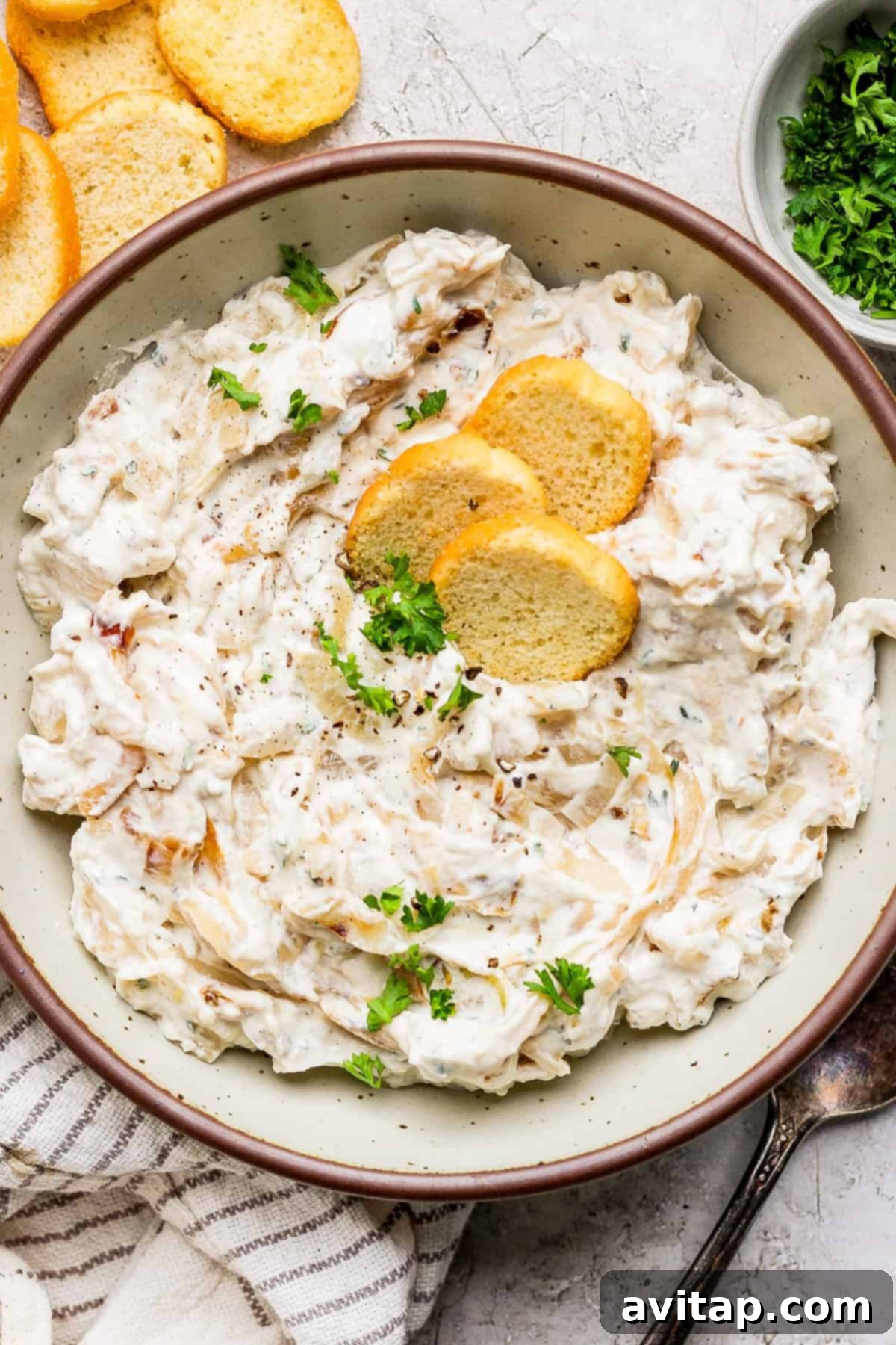 Make this Roasted Caramelized Onion Dip for your next get together or for a delicious game day appetizer! It is packed with amazing savory flavor and delicious when served with crusty bread, vegetables, or even slathered on a bagel! A bowl of creamy dip topped with fresh herbs and three round crackers, placed on a textured surface with more crackers and a side of chopped parsley, inviting you to try this amazing appetizer.