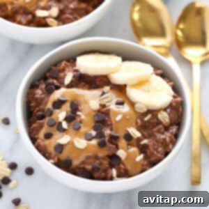 A close-up of Chocolate Peanut Butter Overnight Oats in a small bowl, garnished with fresh berries or chocolate shavings.