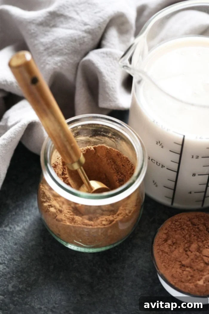 Simple Ingredients for Vegan Chai Hot Chocolate vegan chai hot chocolate ingredients laid out