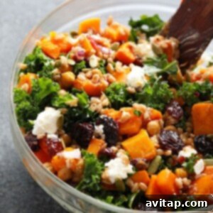 A close-up of the Farro Salad, showing the rich texture of the ingredients.