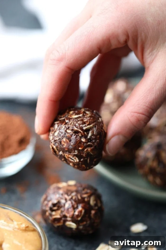 Chocolate Peanut Butter No-Bake Delights 3 A hand holds one perfectly formed chocolate no-bake peanut butter ball, showcasing its inviting texture.