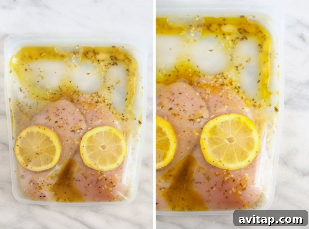 Zesty Grilled Greek Chicken 3 Greek chicken marinating in a stasher bag with fresh lemon slices.
