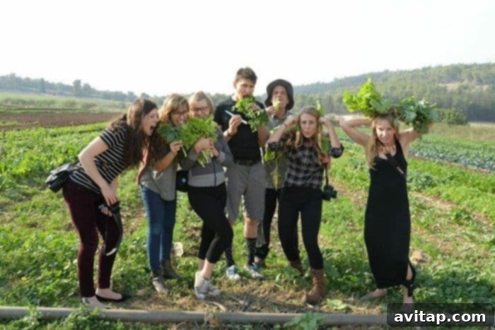 vibe israel group photo