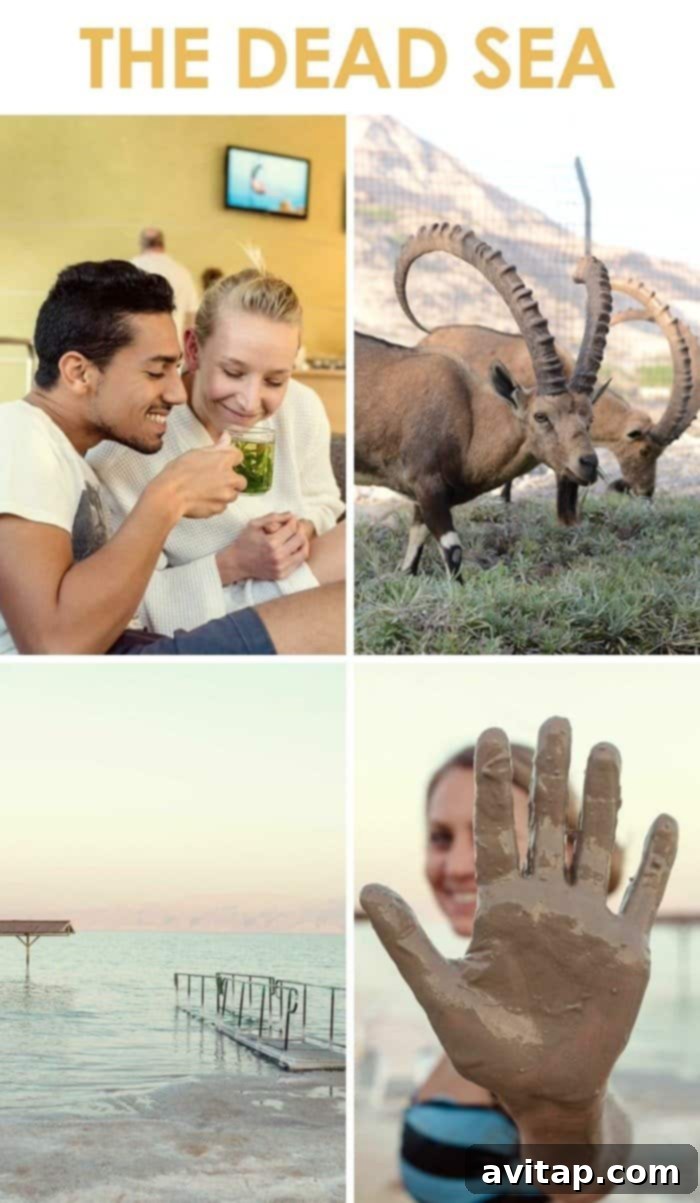 dead-sea experience