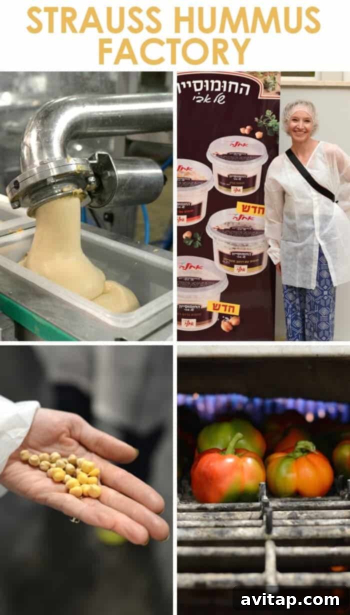 strauss hummus factory