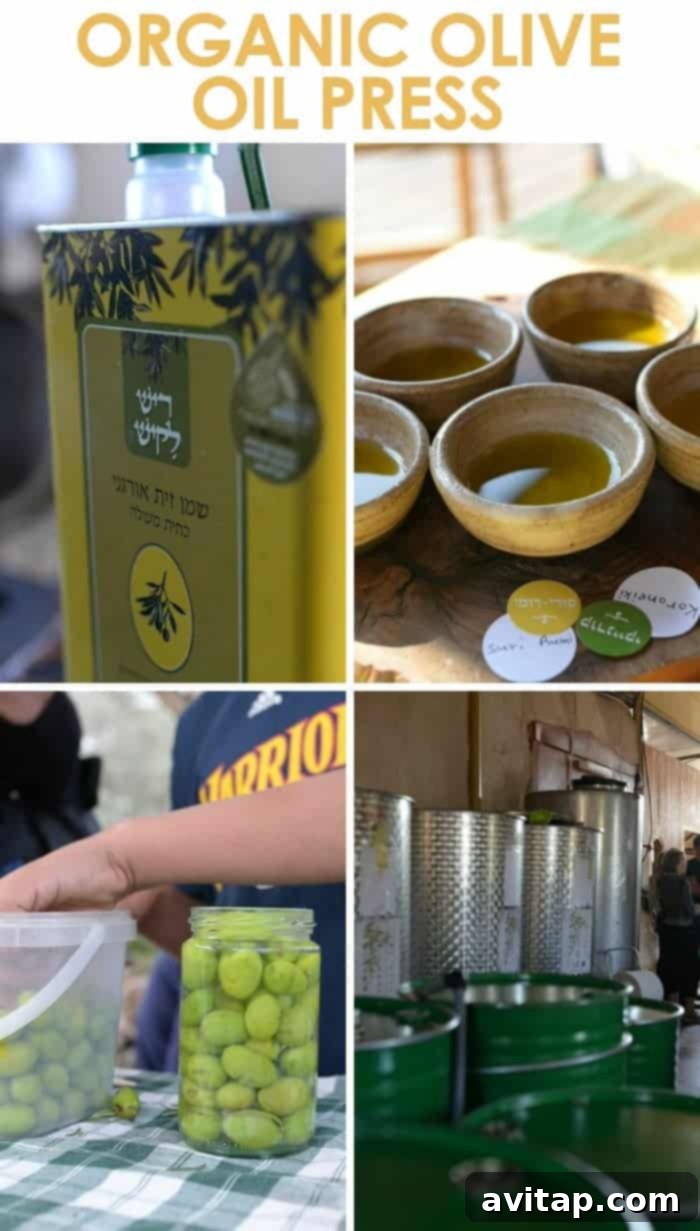organic olive oil israel