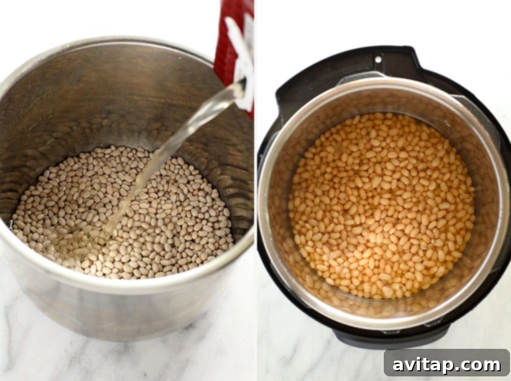 Cooking dried navy beans quickly in the Instant Pot for family-sized BBQ baked beans. Side-by-side photos showing dried white beans and then the same beans after being cooked to tenderness.