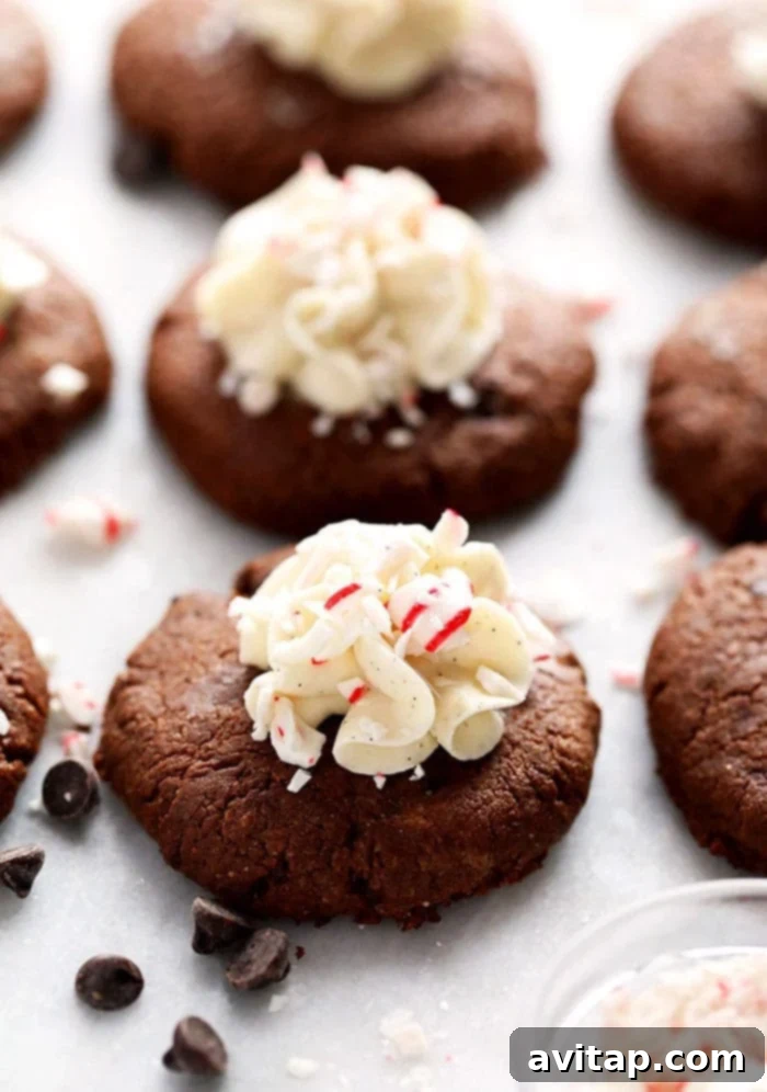 Delicious healthy hot cocoa cookies with vanilla frosting and peppermint sprinkles, ready for the holidays.