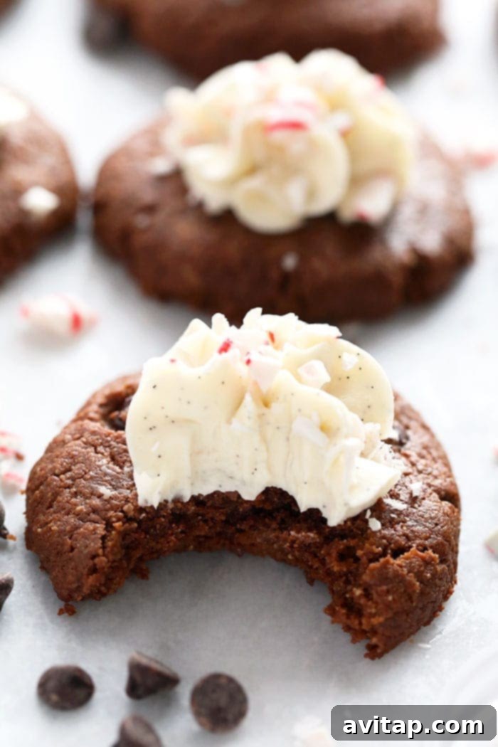 Decorated hot cocoa cookies, one with a bite taken out, showing the rich chocolate interior.