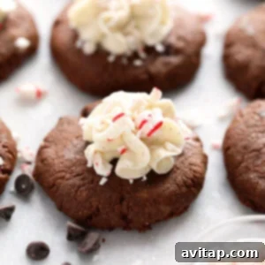 Hot Cocoa Cookies