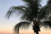 Fit Foodie Travels Nicaragua Yoga Retreat